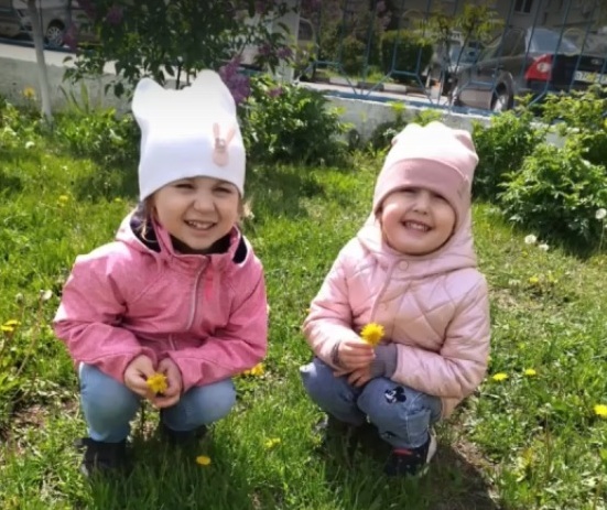 День одуванчика День одуванчика.